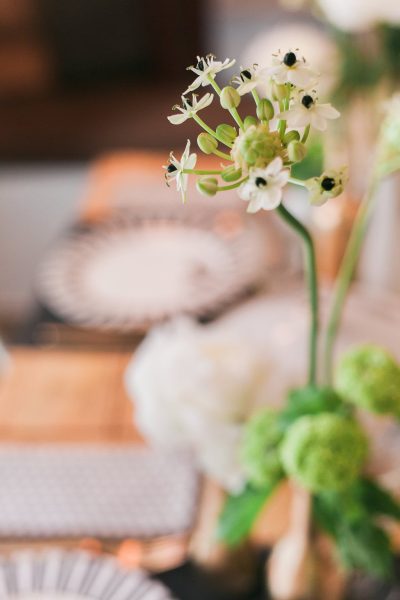 Arbolande-flores-eventos-empresa-corporativos-flor-de-marca-centros-de-mesa-Julia-Puig.jpg Arbolande-flores-eventos-empresa-corporativos-flor-de-marca-centros-de-mesa-Julia-Puig.jpg